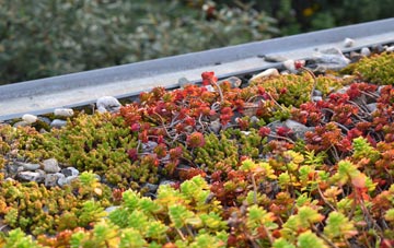 the cost of Waters Upton green roof installation