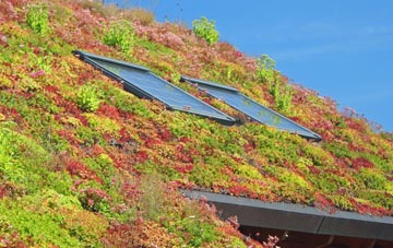 Waters Upton living roof systems